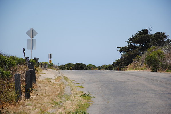 DSC 0180