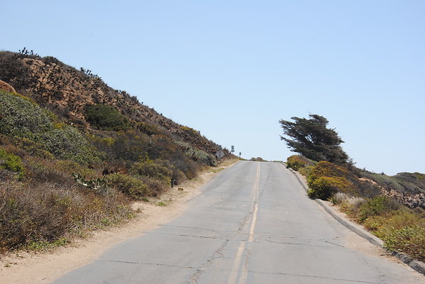 DSC 0121