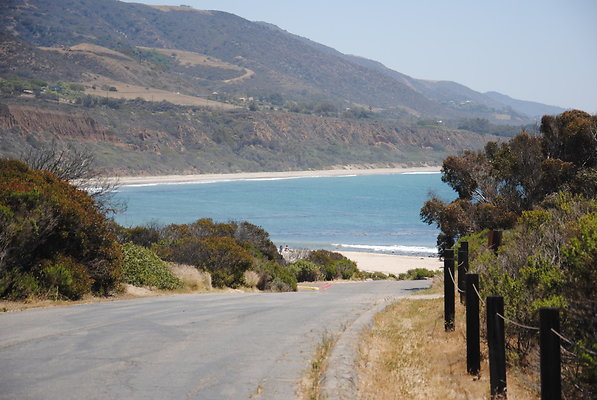 DSC 0169