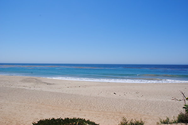 DSC 0104