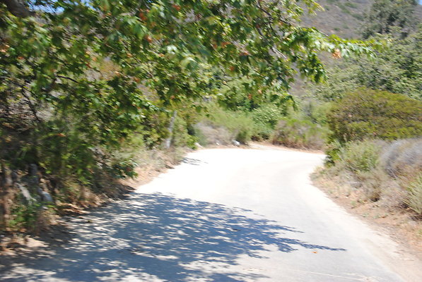 DSC 0137