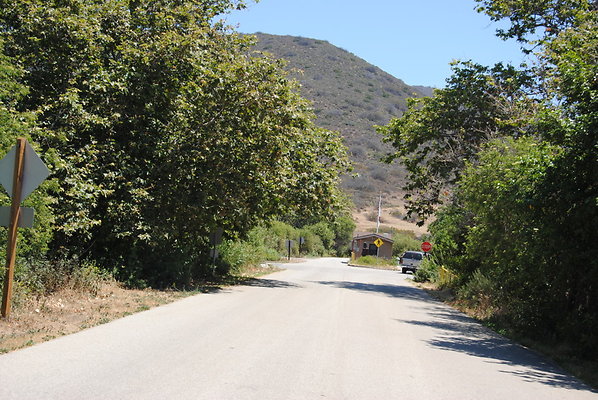 DSC 0140