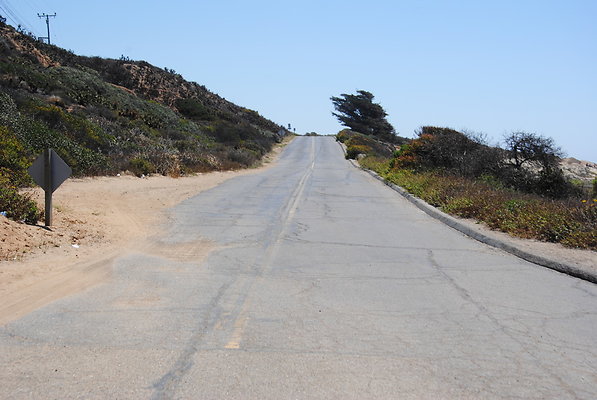 DSC 0120