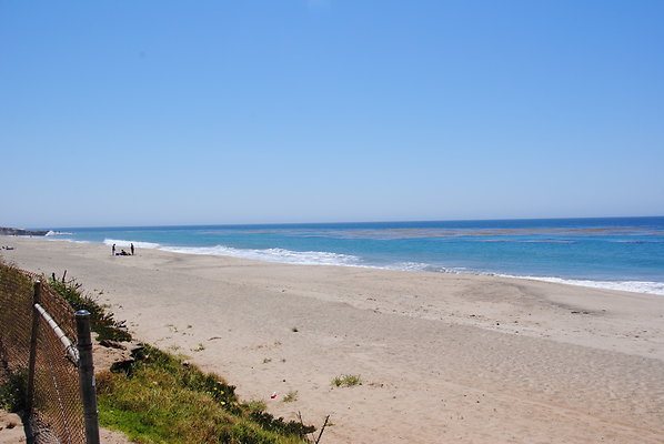 DSC 0102