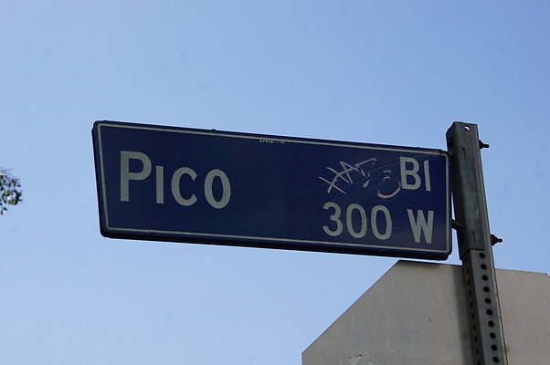 Margo.PL.Pico.02