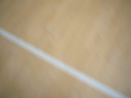 P1110132
