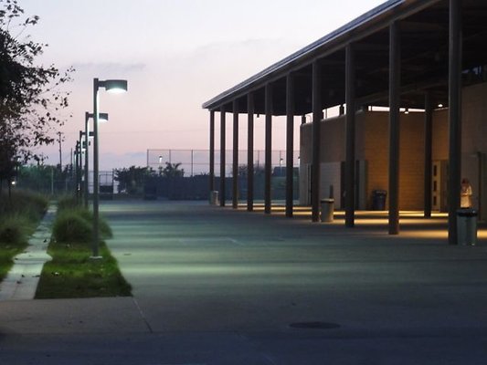 DSC07585