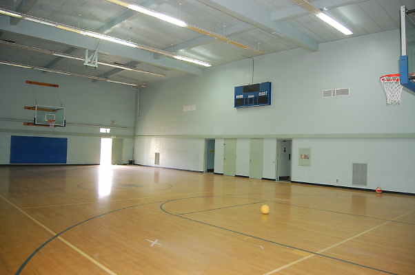 DSC 0100