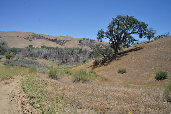 DSC 7076