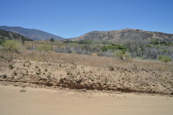 DSC 7074
