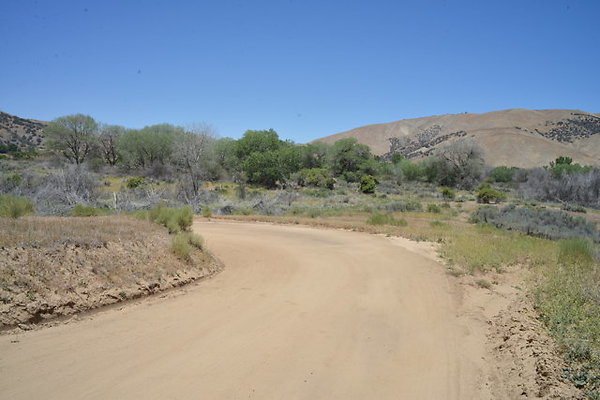 DSC 7075