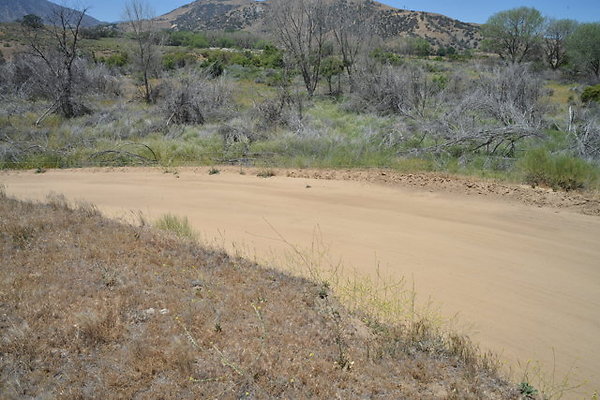 DSC 7071