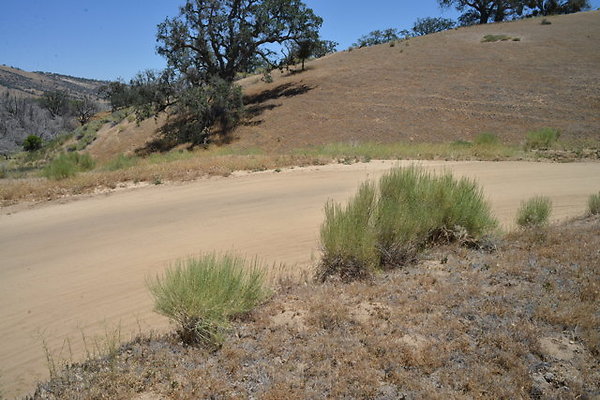 DSC 7073