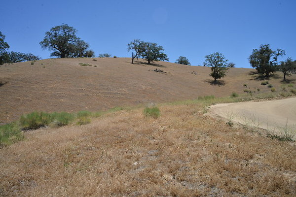 DSC 7068