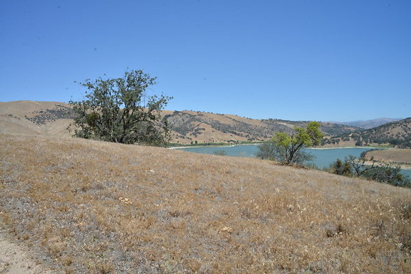 DSC 7112