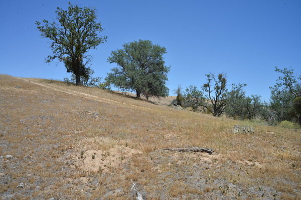 DSC 7119