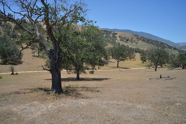 DSC 7124
