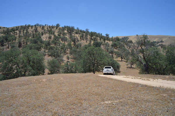DSC 7116