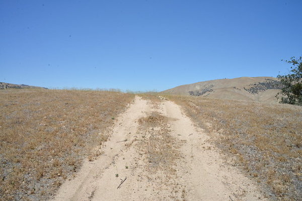 DSC 7111