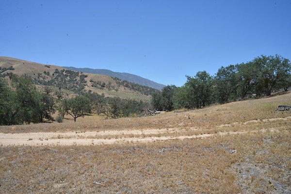 DSC 7117