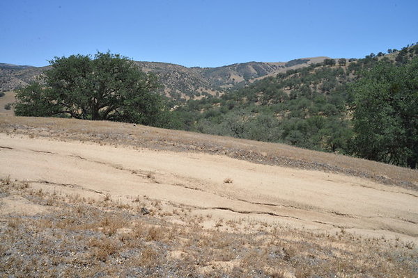 DSC 7122