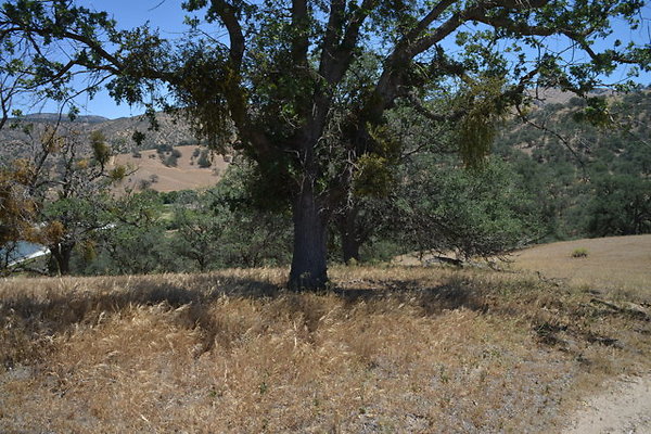 DSC 7113