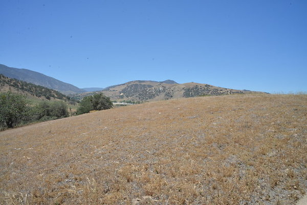 DSC 7110
