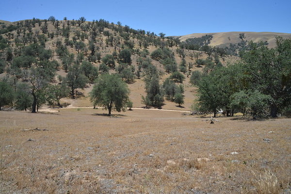 DSC 7115