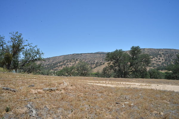 DSC 7120