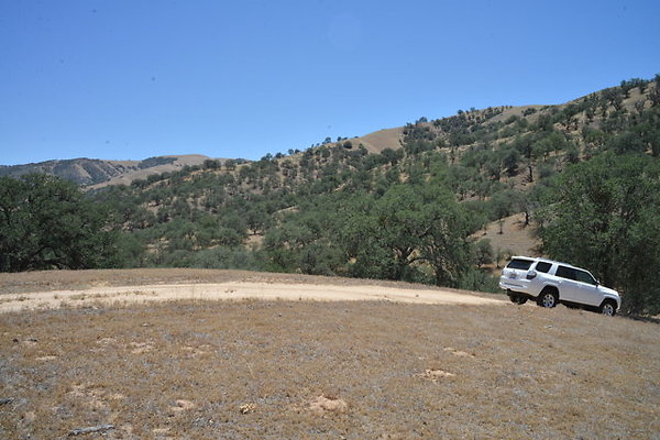 DSC 7121