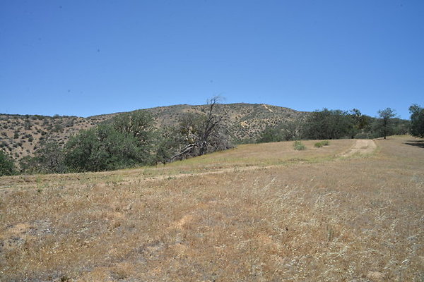DSC 7179