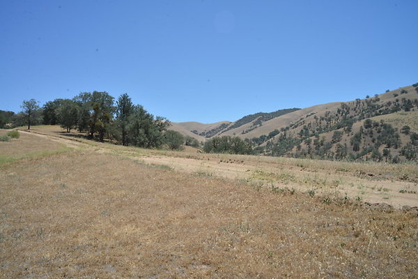 DSC 7174