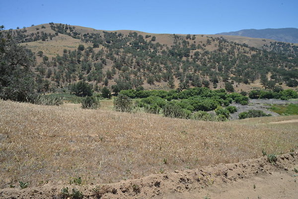 DSC 7180