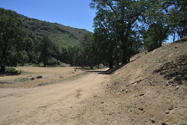 DSC 7194