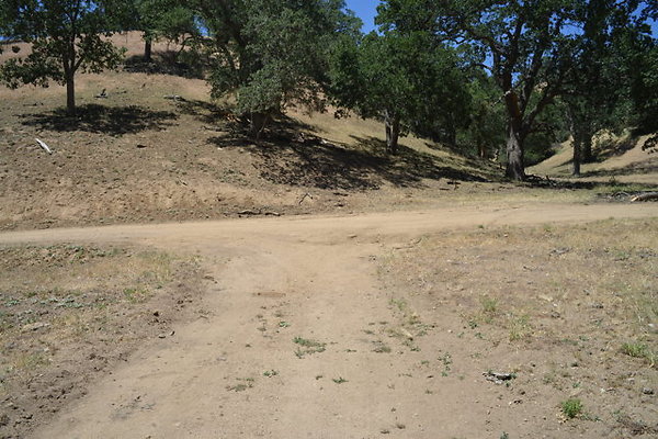DSC 7199