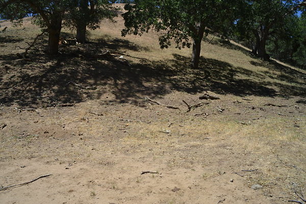 DSC 7197