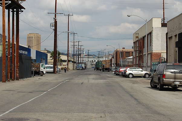 DSC 0007