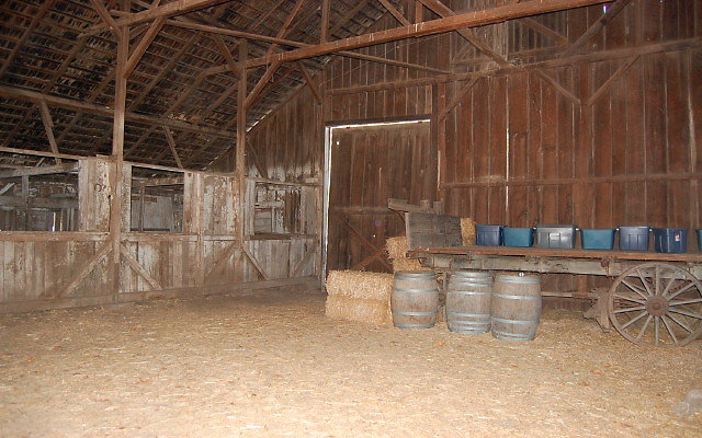 DSC 0259