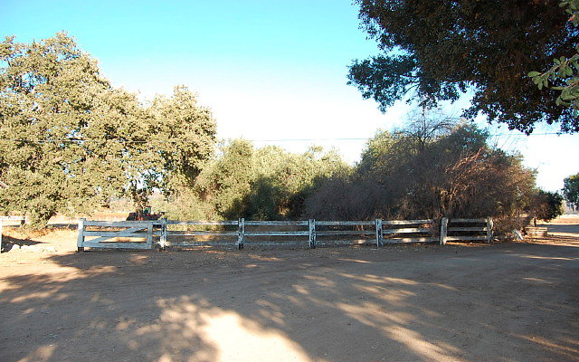 DSC 0146