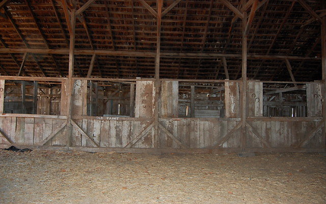 DSC 0258