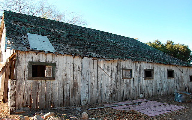 DSC 0272