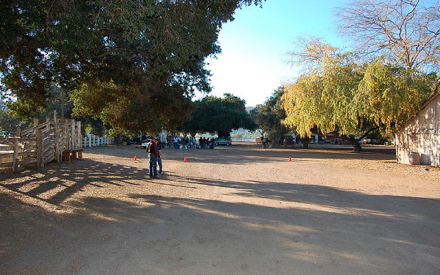 DSC 0249