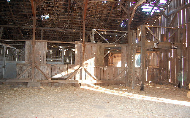 DSC 0268