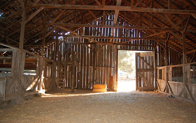 DSC 0260