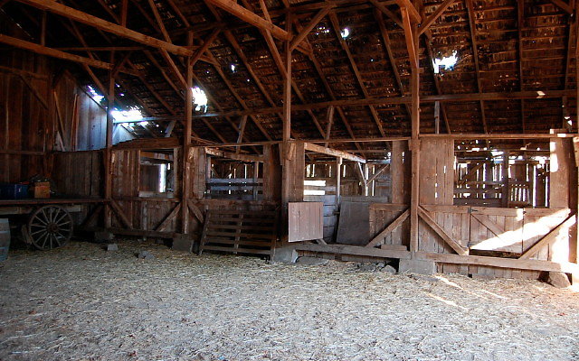 DSC 0267
