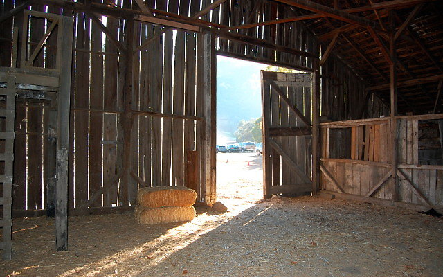 DSC 0257
