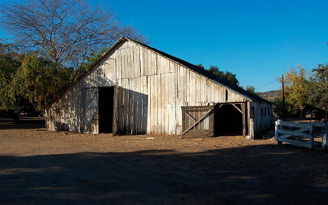 DSC 0254a