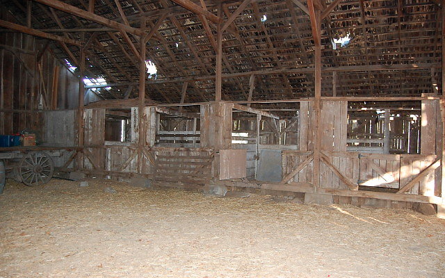 DSC 0266