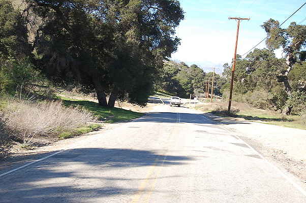 DSC 0117