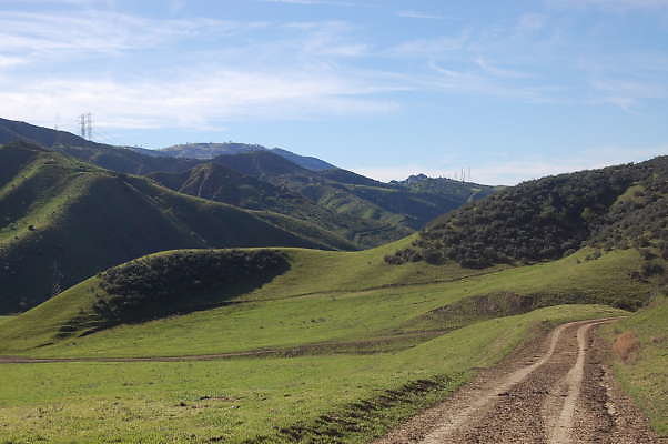 DSC 0493